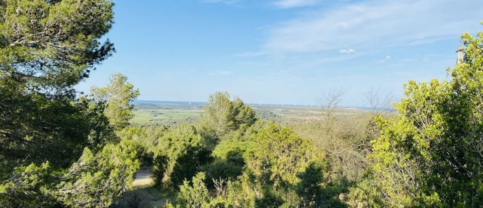 Country house 7 rooms of 170 m² in Roquefort-des-Corbières (11540)