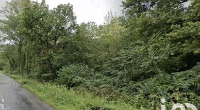 Terrain Loisirs de 1 257 m² à Souppes-sur-Loing (77460)