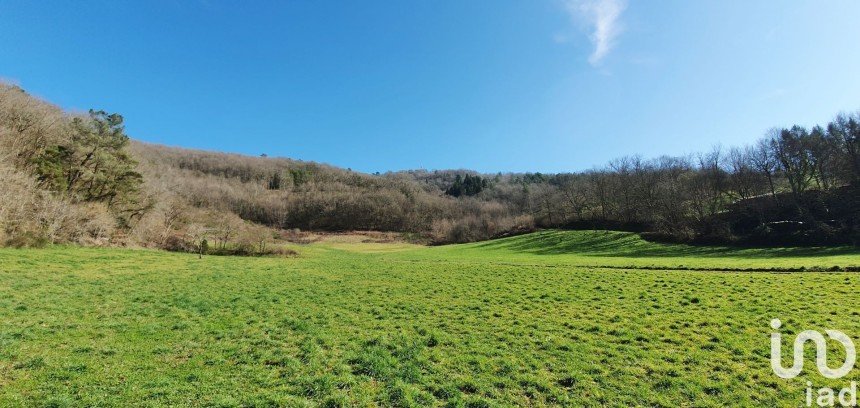 Vente Terrain 6109m² à Monceaux-sur-Dordogne (19400) - Iad France