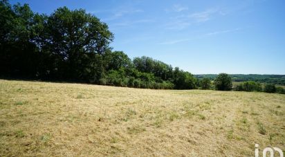 Terrain de 6 600 m² à Saint-Paul-sur-Save (31530)