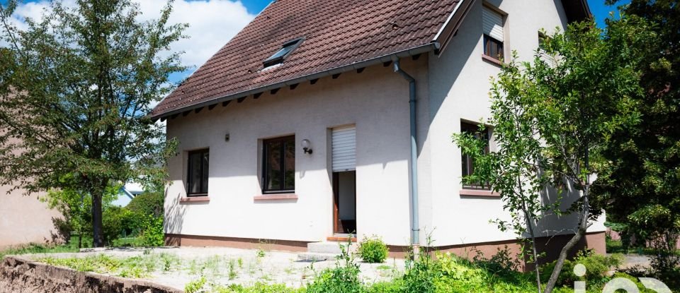 House 6 rooms of 115 m² in Sélestat (67600)