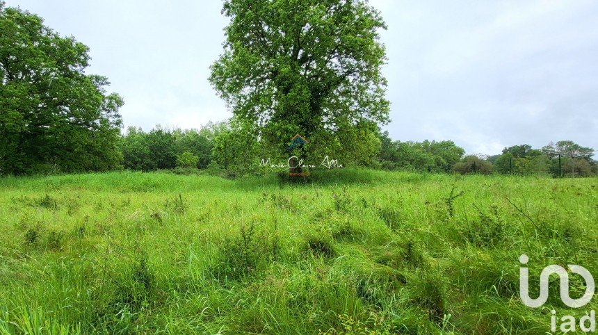 Terrain de 1 378 m² à La Ferté-Saint-Cyr (41220)