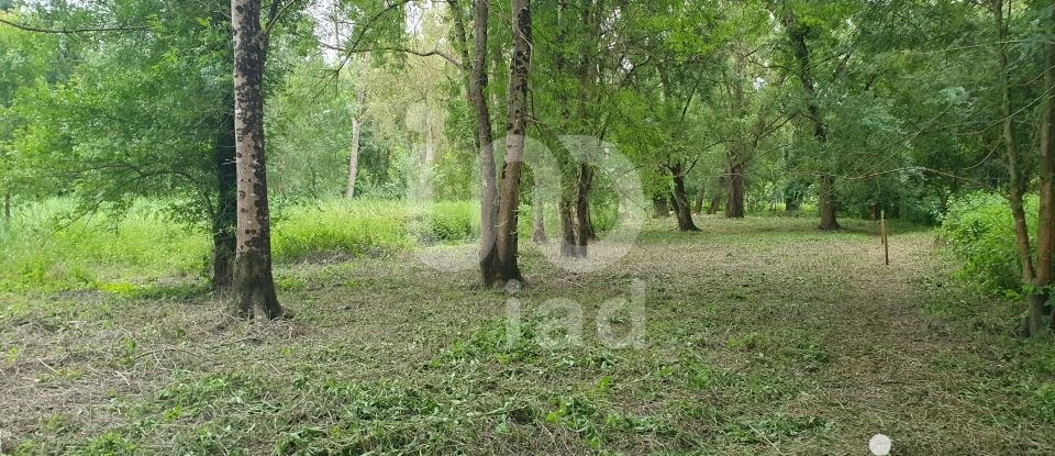 Terrain Loisirs de 960 m² à - (37320)