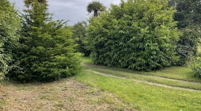 Terrain de 550 m² à Perros-Guirec (22700)