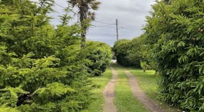 Terrain de 550 m² à Perros-Guirec (22700)