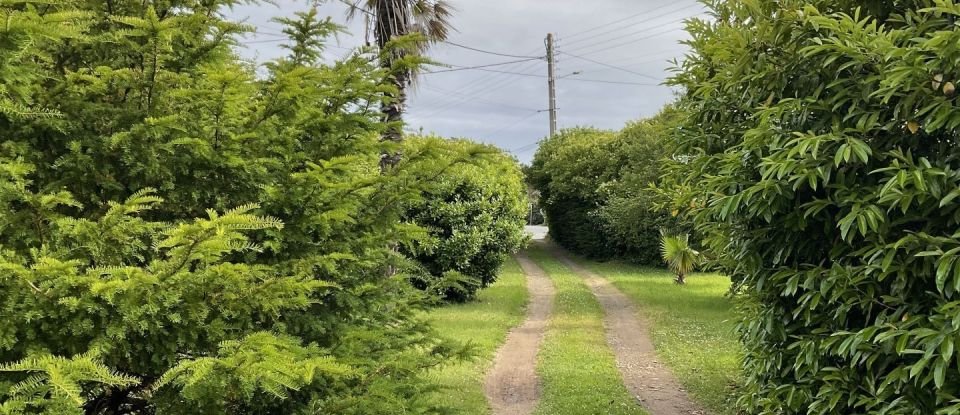 Terrain de 550 m² à Perros-Guirec (22700)