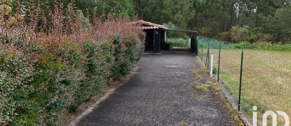 Maison d’architecte 6 pièces de 181 m² à Rion-des-Landes (40370)