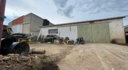 Parking of 125 m² in Rieux-Minervois (11160)