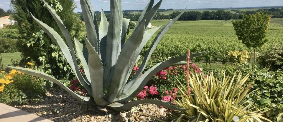 Demeure 9 pièces de 275 m² à Sainte-Lheurine (17520)