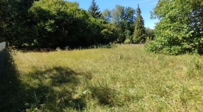 Terrain agricole de 1 500 m² à Villiers-le-Mahieu (78770)