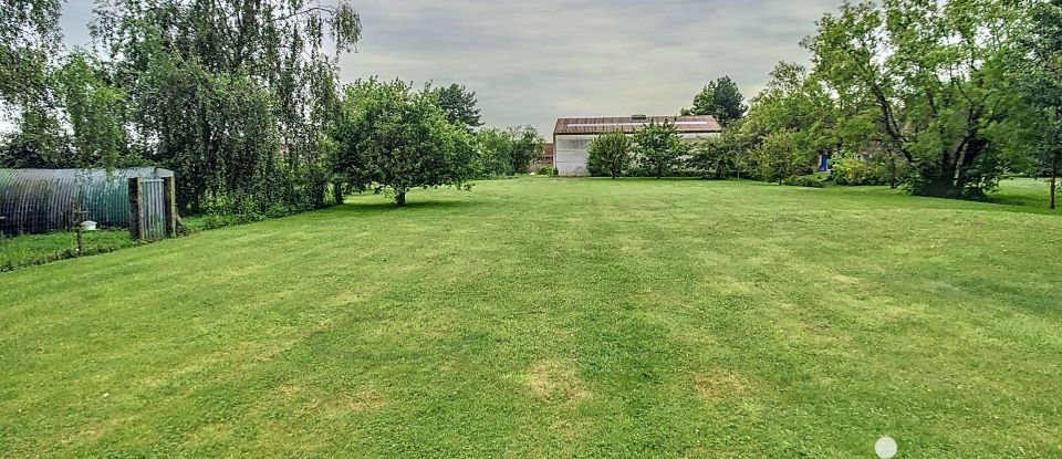 Ferme 8 pièces de 240 m² à Richebourg (62136)