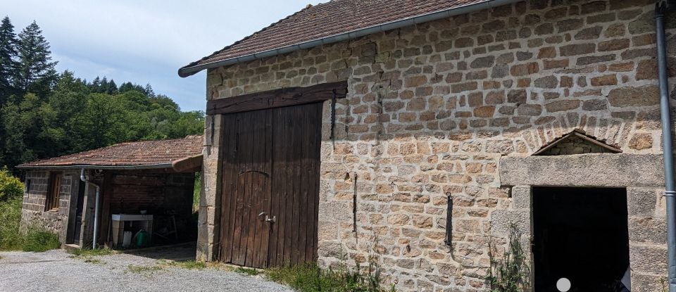 Maison traditionnelle 5 pièces de 102 m² à Jabreilles-les-Bordes (87370)