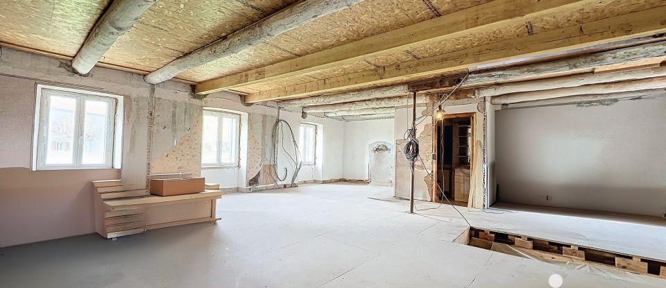 Maison de campagne 10 pièces de 290 m² à Rauret (43340)