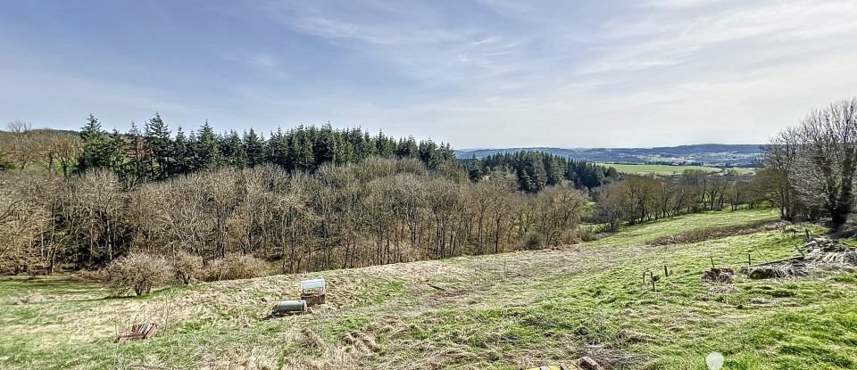 Maison de campagne 10 pièces de 290 m² à Rauret (43340)