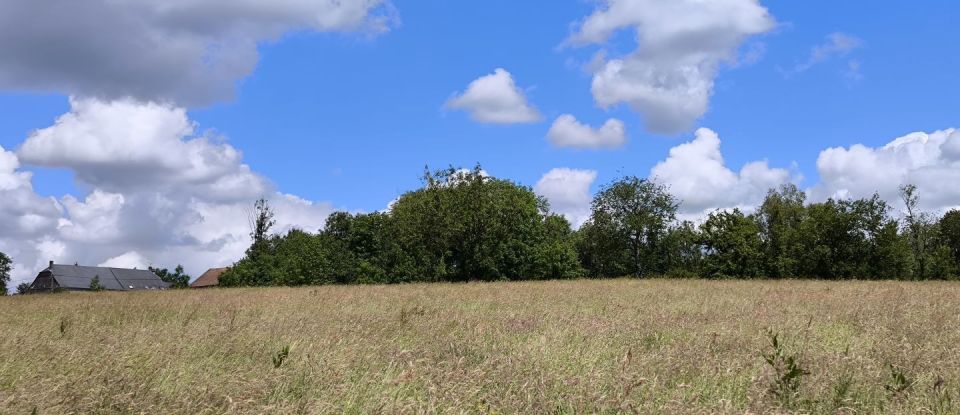 Land of 3,064 m² in Signy-le-Petit (08380)