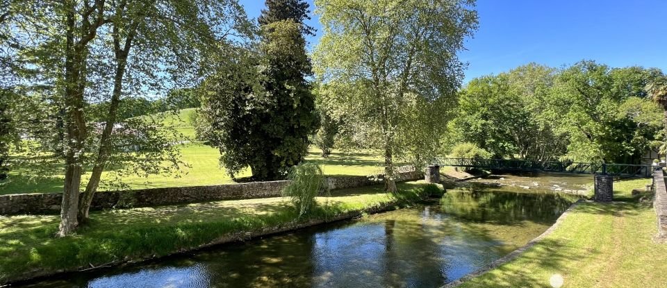 Castle 25 rooms of 1,500 m² in Saint-Palais (64120)