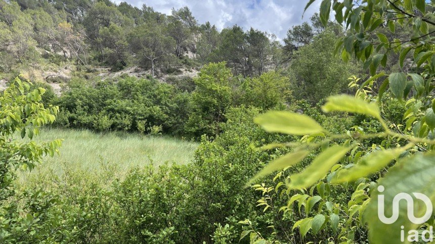 Land of 1,613 m² in Contes (06390)