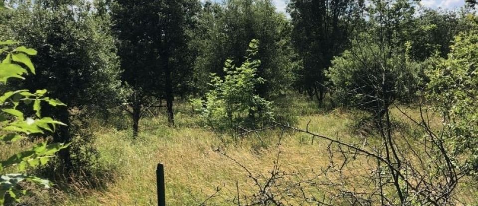 Land of 6,690 m² in Issepts (46320)