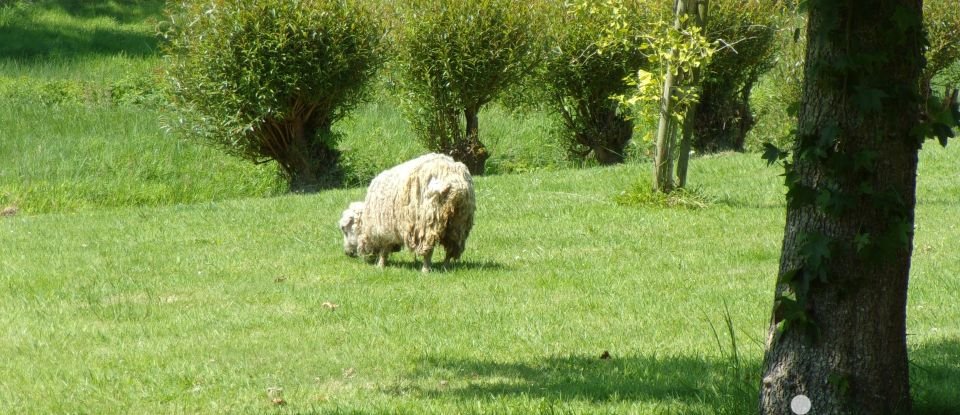 Longère 6 pièces de 140 m² à Kernouës (29260)