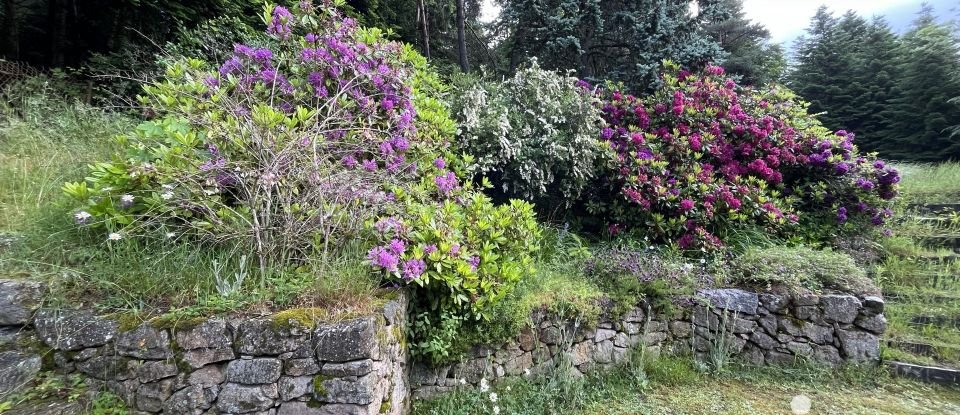 Maison traditionnelle 5 pièces de 172 m² à Thélis-la-Combe (42220)