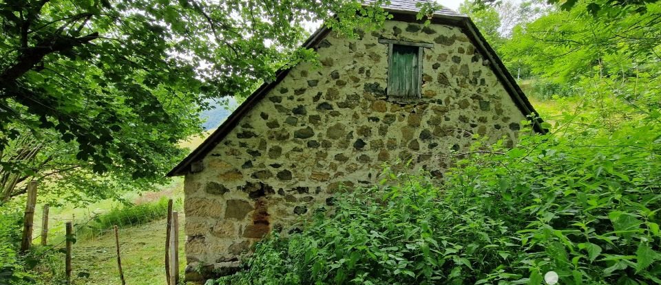 Barn conversion 3 rooms of 145 m² in Arbéost (65560)