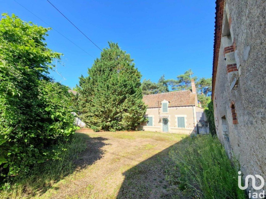 Maison 6 pièces de 220 m² à Saint-Benoît-sur-Loire (45730)