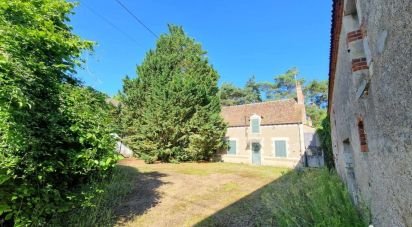 House 6 rooms of 220 m² in Saint-Benoît-sur-Loire (45730)