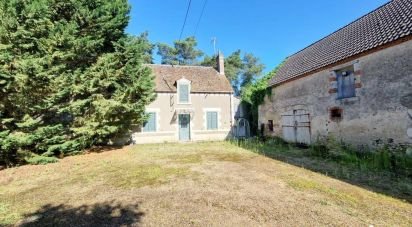 House 6 rooms of 220 m² in Saint-Benoît-sur-Loire (45730)