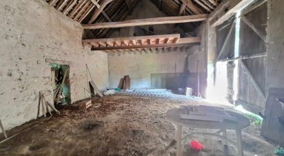 House 6 rooms of 220 m² in Saint-Benoît-sur-Loire (45730)