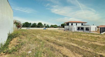 Terrain de 1 066 m² à Canohès (66680)