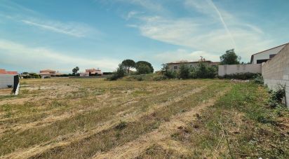 Land of 1,023 m² in Canohès (66680)