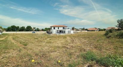 Terrain de 1 023 m² à Canohès (66680)