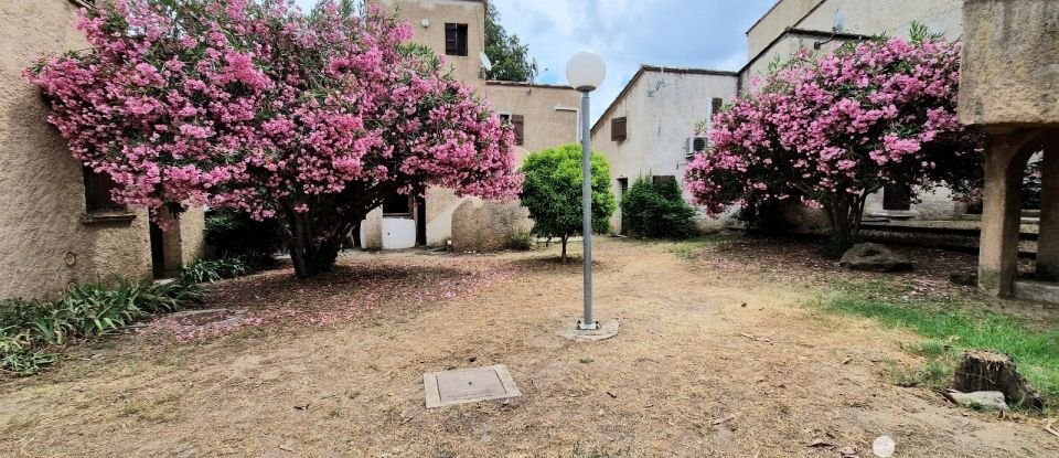 Studio 1 pièce de 31 m² à Calcatoggio (20111)