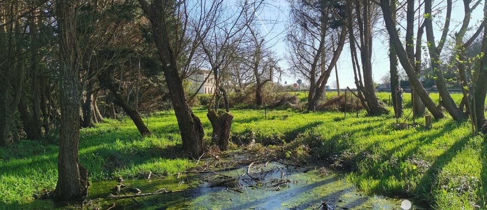 Maison de campagne 3 pièces de 150 m² à Abzac (33230)