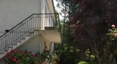 Maison 6 pièces de 145 m² à Blasimon (33540)