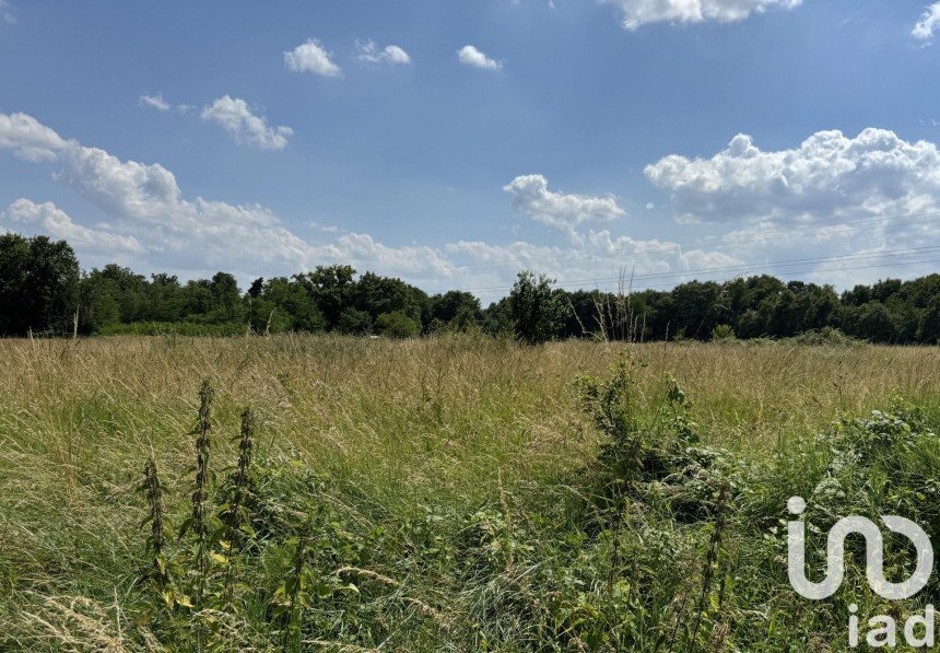 Terrain de 11 150 m² à La Chapelle-sur-Loire (37140)