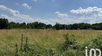 Land of 11,150 m² in La Chapelle-sur-Loire (37140)