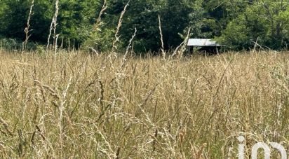 Terrain de 11 150 m² à La Chapelle-sur-Loire (37140)