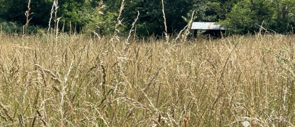 Terrain de 11 150 m² à La Chapelle-sur-Loire (37140)