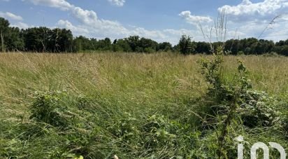 Land of 11,150 m² in La Chapelle-sur-Loire (37140)