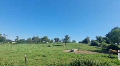 Land of 1,500 m² in Faissault (08270)