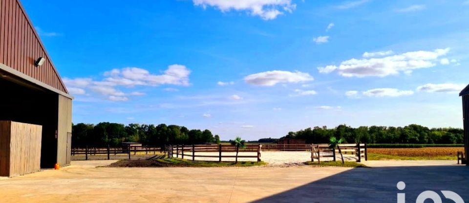 Equestrian facility 5 rooms of 60,000 m² in Chaumes-en-Brie (77390)