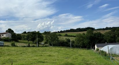 Land of 3,750 m² in Ailleux (42130)