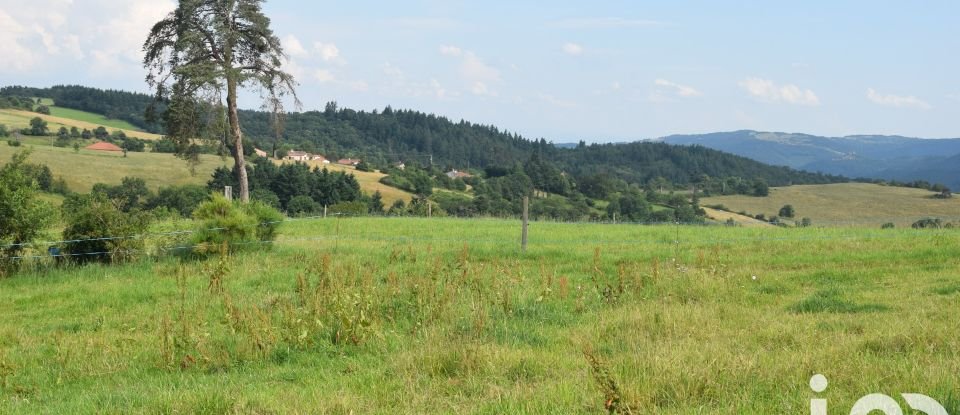 Land of 3,750 m² in Ailleux (42130)