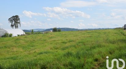 Land of 3,750 m² in Ailleux (42130)