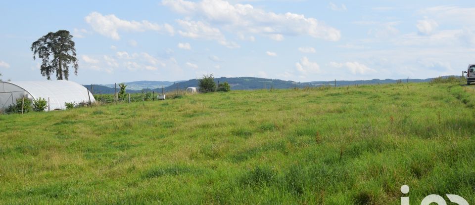 Land of 3,750 m² in Ailleux (42130)