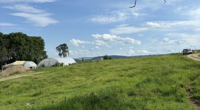 Land of 3,750 m² in Ailleux (42130)