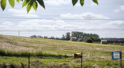 Land of 3,064 m² in Signy-le-Petit (08380)