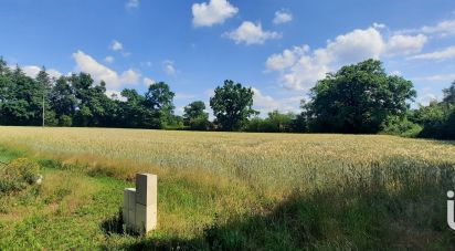 Terrain de 5 000 m² à Lanuéjouls (12350)