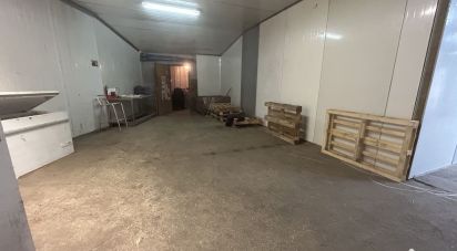 Parking/garage/box de 520 m² à Trausse (11160)
